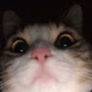 Meet your Posher, Avery